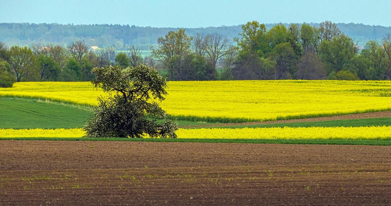 Cztery Luksusowe Domy Na Mazurach, Jezioro Juksty - Sakurarest Sniadowo  Kültér fotó